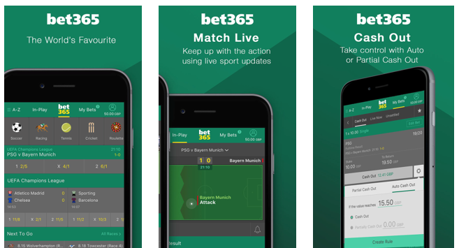 One Tip To Dramatically Improve Your Best Ipl Betting App In India