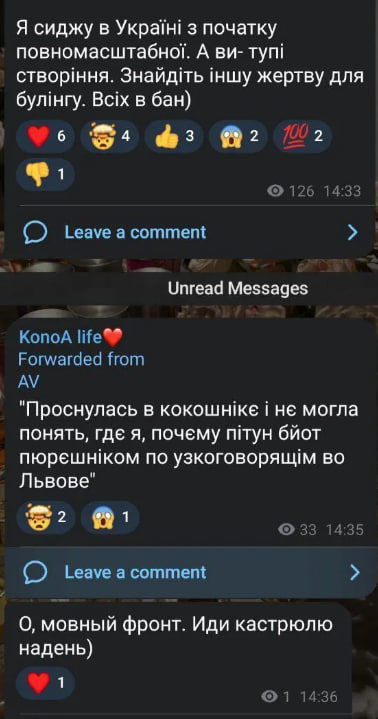 «О, мовний фронт. Іди каструлю вдягни». Дружина Коноплі продовжує публікувати скандальні повідомлення - изображение 1